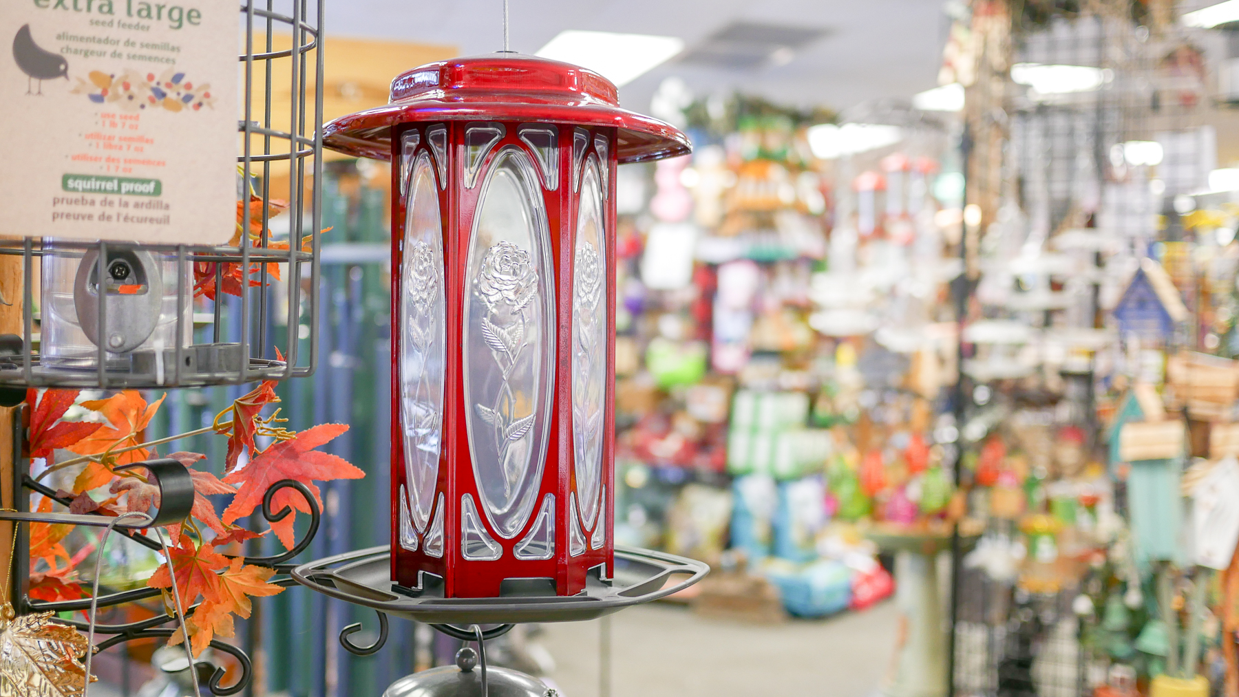 Gallery THE BIRD HOUSE