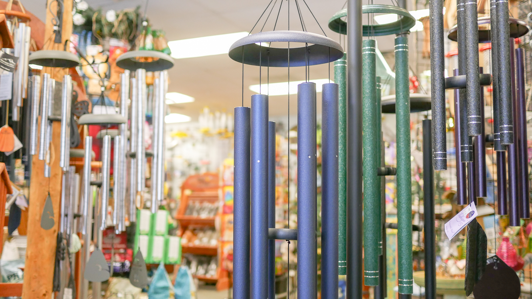 Gallery THE BIRD HOUSE